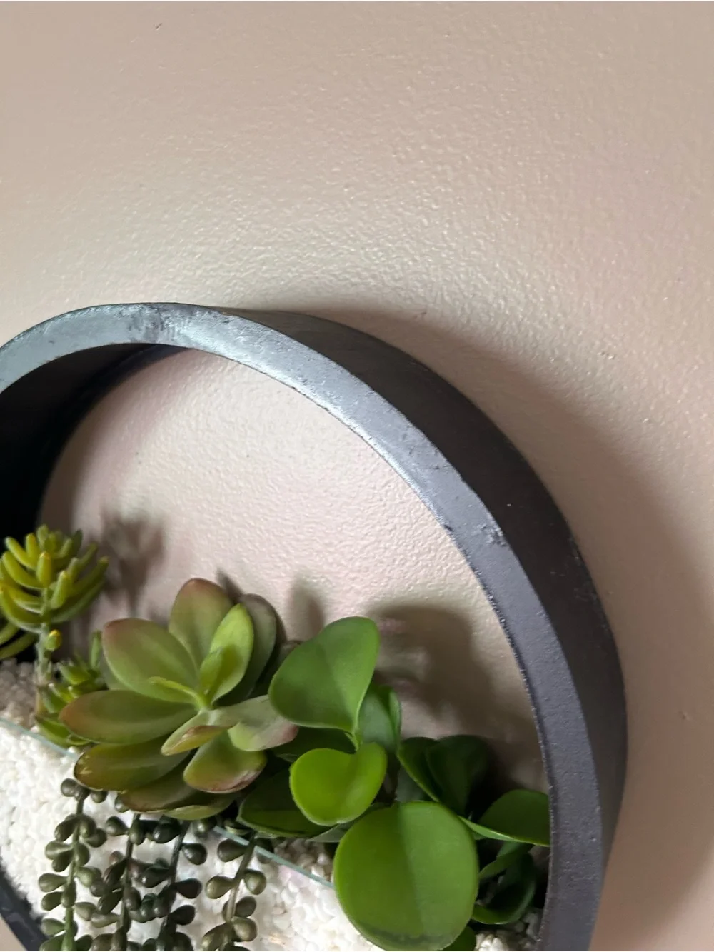 Black Circular Wall Planter with Green Succulents- wall decor- 13in WIDTH- 14inH